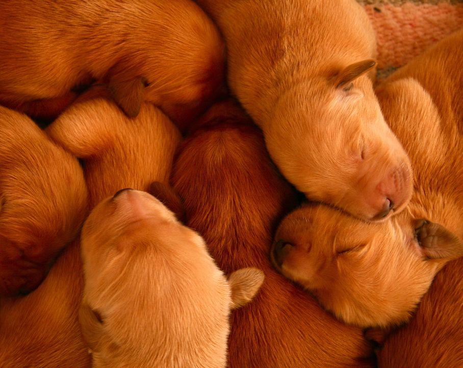 What Would You Believe?